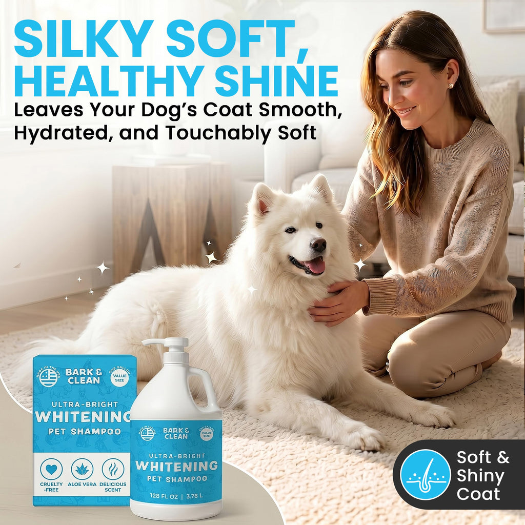 Whitening Dog Shampoo with Pump, 1 Gallon Aloe Coconut S7759