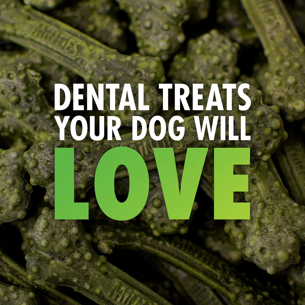 Minties Dog Dental Bone Treats I762524