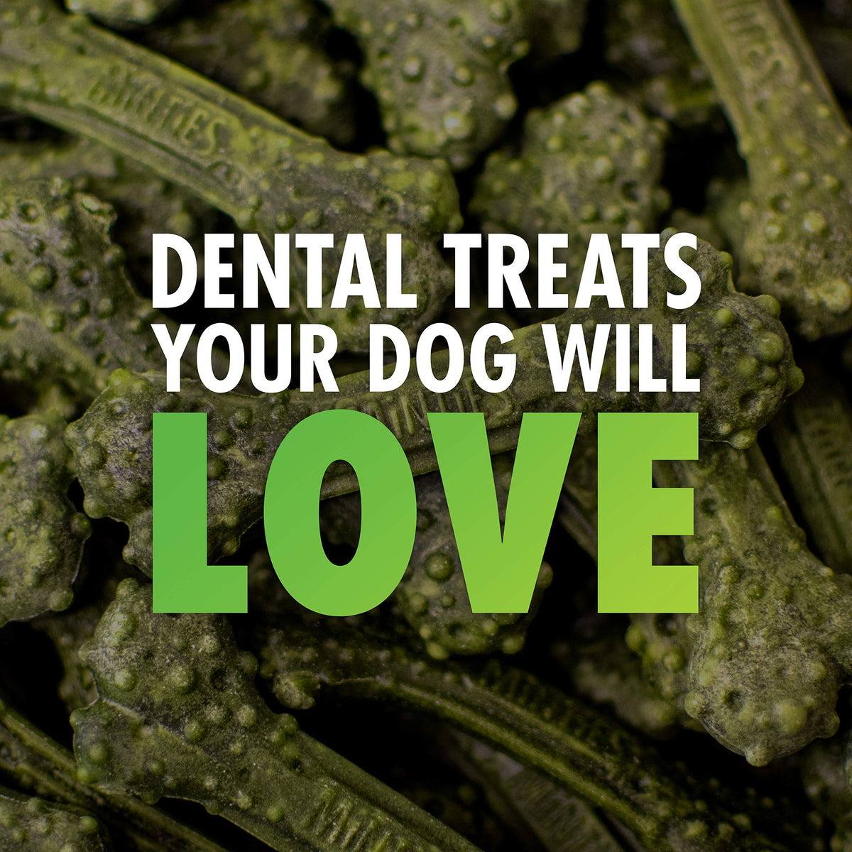 Minties Dog Dental Bone Treats I762524
